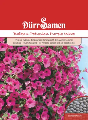 Produktbild von Balkonpetunie Big Time Purple | Balkonpetuniensamen von Dürr Samen