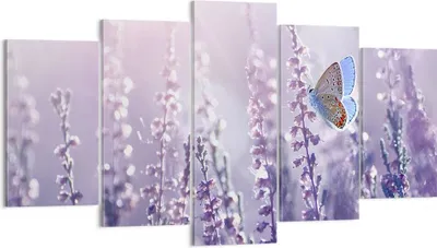 Produktbild von Bild auf Leinwand - Leinwandbild - Schmetterling Wiese Blume - 160x85cm - Wand Bild - Wanddeko - Leinwanddruck - Bilder - Kunstdruck - Wanddekoration - Leinwand bilder - Wandkunst - EA160x85-4014