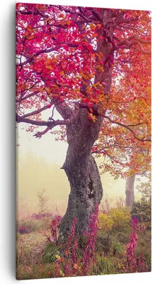 Produktbild von Bild auf Leinwand - Leinwandbild - Baum Natur Wiese - 55x100cm - Wand Bild - Wanddeko - Wandbilder - Leinwanddruck - Bilder - Kunstdruck - Wanddekoration - Leinwand bilder - Wandkunst - PA55x100-3658
