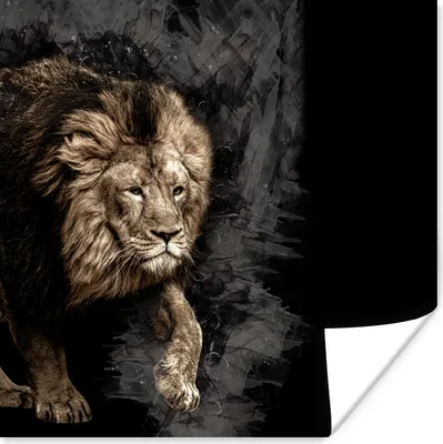 Produktbild von MuchoWow® Poster Löwe - Tiere - Schwarz 75x75 cm - Wand Dekoration