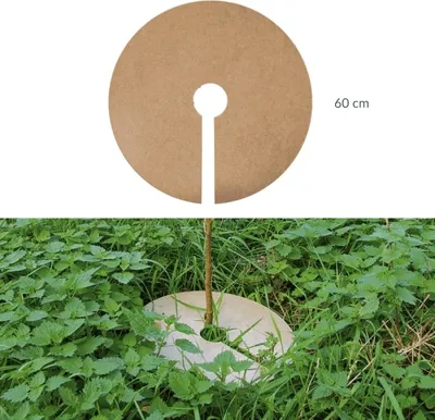 Produktbild von PSH-Mulchplatte 60 cm : 60 cm Durchmesser: 60 cm