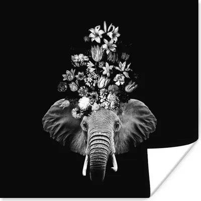 Produktbild von MuchoWow® Poster Elefant - Blumen - Schwarz - Weiß 75x75 cm - Wand Dekoration