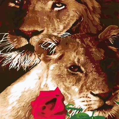 Image de Peinture Par Numéros Lion Et Lionne 40 X 50 5637
