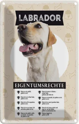 Produktbild von vianmo Blechschild 30x20 cm Labrador Eigentumsrechte Hund