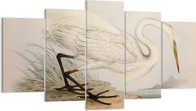 Produktbild von Bild auf Leinwand - Leinwandbild - 5 Teile - Vogel Weiß Reiher - 160x85cm - Wand Bild - Wanddeko - Wandbilder - Leinwanddruck - Bilder - Wanddekoration - Leinwand bilder - Wandbild - EA160x85-4979