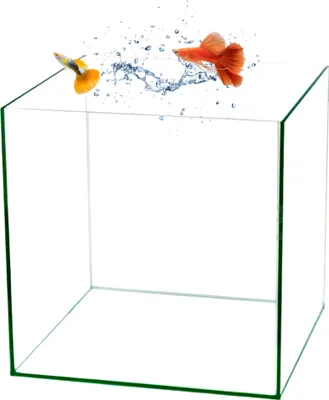 Produktbild von Würfel Aquarium 30x30x30 Becken Glasbecken 30 Glasaquarium Garnelen Aquarium Nano Aquarium Aufzuchtbecken