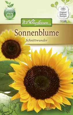 Produktbild von Sonnenblume Schnittwunder | Sonnenblumensamen von N.L. Chrestensen