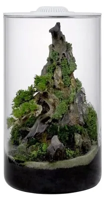 Productafbeelding van Wabi Kusa  Cylinder 150 glazen terrarium met LED wit 15,2 x 19,5 cm