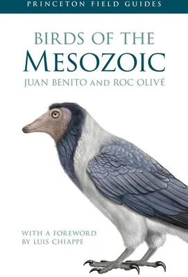 Image de Birds of the Mesozoic