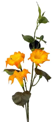 Productafbeelding van Clayre & Eef Kunstbloem Oranje, kunststof