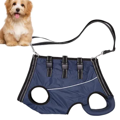 Imagen del producto de Arnés ajustable para perros, que proporciona soporte y comodidad