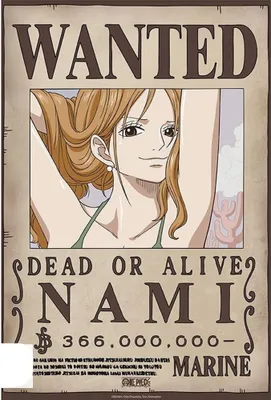 Produktbild von Poster One Piece Wanted Nami Wano 38x52cm