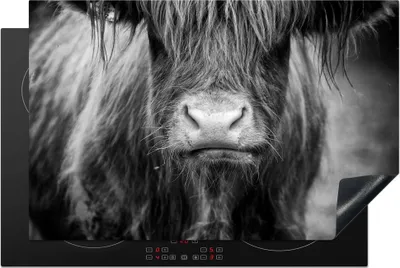 Produktbild von KitchenYeah© Herdabdeckplatte Schottischer Highlander - Kuh - Schwarz - Weiß - Tiere , 81x52cm, Küche Deko, Glaskeramikkochfeld Herdabdeckung, Abdeckplatte fùr Kochfeld