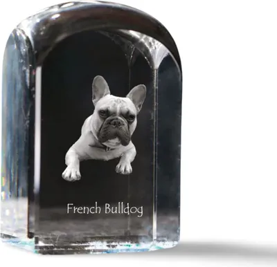 Image de Bouledogue français - cube en cristal avec photo, photo de chien dans du cristal, bouton cubique sur papier de la marque Art-Dog