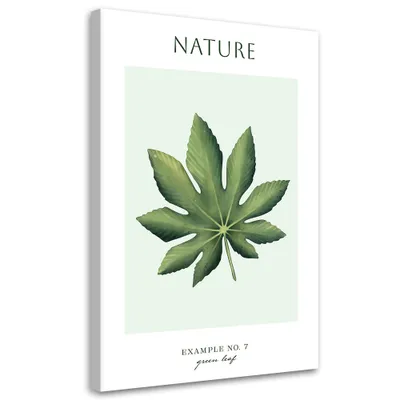 Produktbild von Leinwandbild Grünes Blatt – Natur 60x90 Feeby Grün bild für die wand bereit zum aufhängen