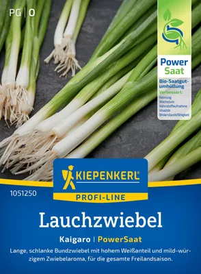 Artikelbild 2 von 'Lauchzwiebel Kaigaro (PowerSaat)' aus der Kategorie Lauchzwiebelsamen