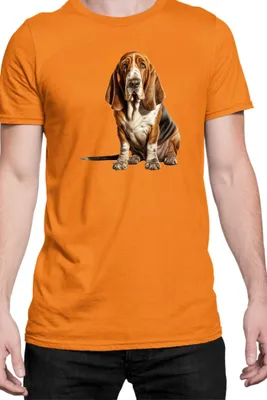 Produktbild von Herren T-Shirt Dogs Breeds Basset Hound Dog Breed 006, Man XL / Orange