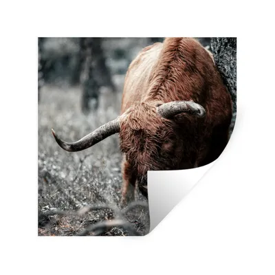 Produktbild von MuchoWow® Wandtattoo Wandsticker Wandaufkleber Schottischer Highlander - Kuh - Winter 30x30 cm Selbstklebend und Repositionierbar - Repositionierbar - Wasser abweisend