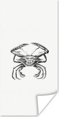 Produktbild von MuchoWow® Poster Ernst Haeckel - Jahrgang - Kunst - Krabbe 60x120 cm - Wandschmuck