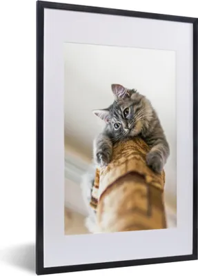 Produktbild von MuchoWow® MuchoWow® Gerahmtes Poster Katze - Kratzbaum - Grau 40x60 cm - Poster mit zchwarzem Bilderrahmen - Poster in Rahmen