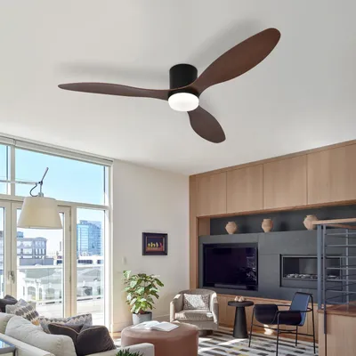 Image de Ventilateur de plafond - 107 cm (42 pouces) - Noir - avec éclairage et télécommande