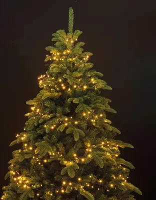 Produktbild von Kaemingk Lumineo Lichterkette Compact 1-2-glow 880 LED warmweiß außen 2,4 m grün