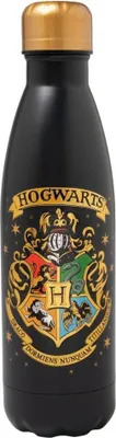 Produktbild von Hogwarts-Wasserflasche aus Edelstahl, 500 ml Fassungsvermögen