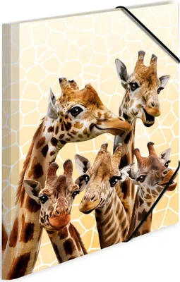 Produktbild von HERMA Zeichenmappen DIN A3 Giraffen, 3 St.