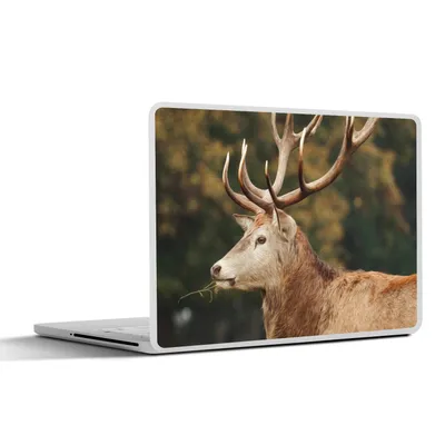 Produktbild von MuchoWow® Laptop Aufkleber Sticker Cover Hirsche - Geweihe - Wald 30x21 cm - Sticker für Laptop - Selbstklebend