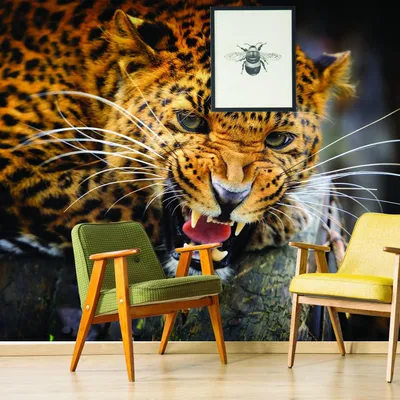 Fototapete mit Jaguarmotiv, Modell 034-080 – Decords, Produktansicht 1