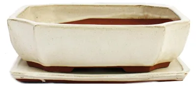 Produktbild von Bonsai-Schale mit Unterteller Gr. 5 - hellbeige - eckig - Modell G117 - L 31cm - B 24cm - H 9cm
