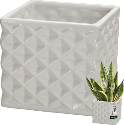 A white ceramic planter with a geometric pattern is shown, with a smaller version of the planter containing a snake plant in the lower right corner.