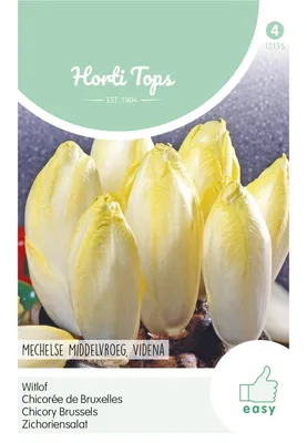 Produktbild von Zichoriensalat Mechelse Mittelvroeg Videna | Chicoréesamen von Hortitops [MHD 07/2026]