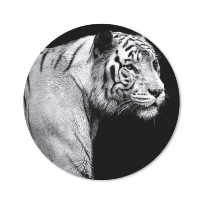 Produktbild von MuchoWow® Mauspad Mousepad Tiger - Wilde Tiere - Licht 50x50 cm - Mousepads - Maus Mat - Pad - Mausunterlage