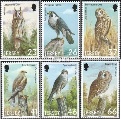 Produktbild von Briefmarken GB - Jersey 2001 Mi 987-992 (kompl.Ausg.) postfrisch Raubvögel