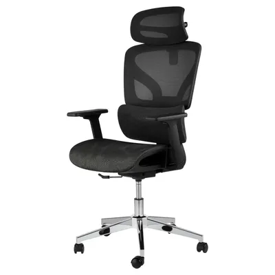 Produktbild von Ergonomischer Mesh Bürostuhl mit 4D-Armlehnen, 3D-Kopfstütze, Lordosenstütze & 135° Neigung, Drehstuhl bis 159 kg, Schwarz