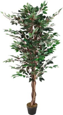 Produktbild von Deco Plant 160 cm - Model: Ficus