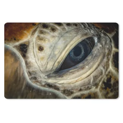 Produktbild von MuchoWow® Schreibtischunterlage Nahaufnahme Hawksbill-Auge 60x40 cm - XXL Mauspad - Großes Mauspad