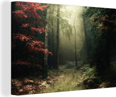 Produktbild von OneMillionCanvasses® - Leinwandbilder - 140x90 cm, Dunkelheit - Wald - Bäume, Wandbilder Kunstdruck Wanddekoration - Foto auf Leinwand - Gemälde auf Holzrahmen