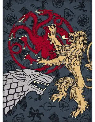 Produktbild von Game of Thrones Decke Winter is Coming 150x200 cm passend zur Bettwäsche
