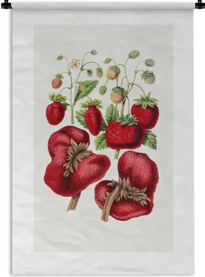 Produktbild von MuchoWow® Wandteppich Wandbehang Lebensmittel - Erdbeeren - Obst 90x135 cm Tapisserie Dekoration Wandtuch - Baumwolle - Wandskulptur