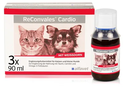 Imagen del producto de Reconvales Cardio, solución líquida para perros y gatos, 3 viales de 90 ml