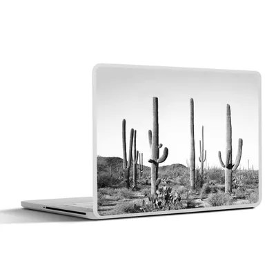 Produktbild von MuchoWow® Laptop Aufkleber Sticker Cover Kakteen - Schwarz und weiß - Natur - Landschaft 30x22 cm - Laptop-Sticker