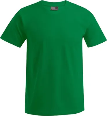 Immagine prodotto di Promodoro 3000/3099 | Maglietta Premium Uomo - fino a 5XL - Colore: Verde Kelly - Taglia: XL