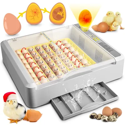Produktbild von 36 Eier Brutautomat Vollautomatisch Inkubator, Mit Automatischem Eierwenden & Wasserzugabe & Temperaturregelung, Eingebaute Eierbeleuchtungsfunktion,
