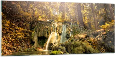 Produktbild von Bilder auf glas - Wald Wasserfall Natur Umwelt - 120x50cm - Glasbilder - Wandbilder - Kunstdruck - zum Aufhängen bereit - Wanddekoration aus Glas - Glas Bilder - Wandbild auf Glas - GAB120x50-2959