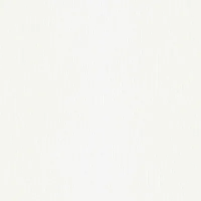 A plain white textured background.