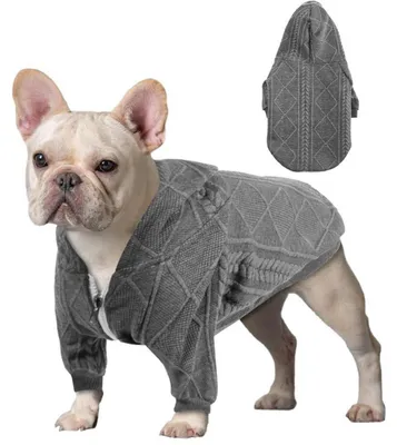 Image de Pull pour chien avec fermeture éclair et capuche, chaud, pour l'hiver, pour chiens et chats, taille S, couleur gris