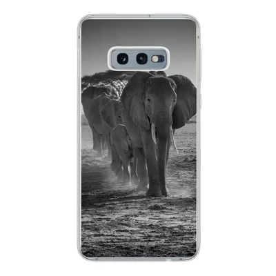 Produktbild von MuchoWow® Handyhülle Schutzhülle Hülle für Samsung Galaxy S10e Elefant - Einfarbig - Tiere - Schwarz - Weiß Silikon Softcase Handy Hülle - Handy