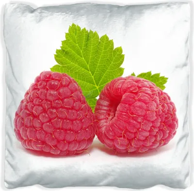 Produktbild von Wallario Premium Kissen, weiche Oberfläche, mit Motiv Himbeeren mit grünem Blatt auf weißem Grund, Größe: 40 x 40 cm, mit weißer Rückseite